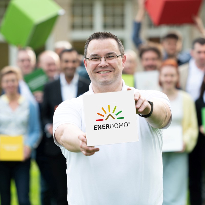 enerdomo-energieberatung Förderung der Einzelmaßnahmen